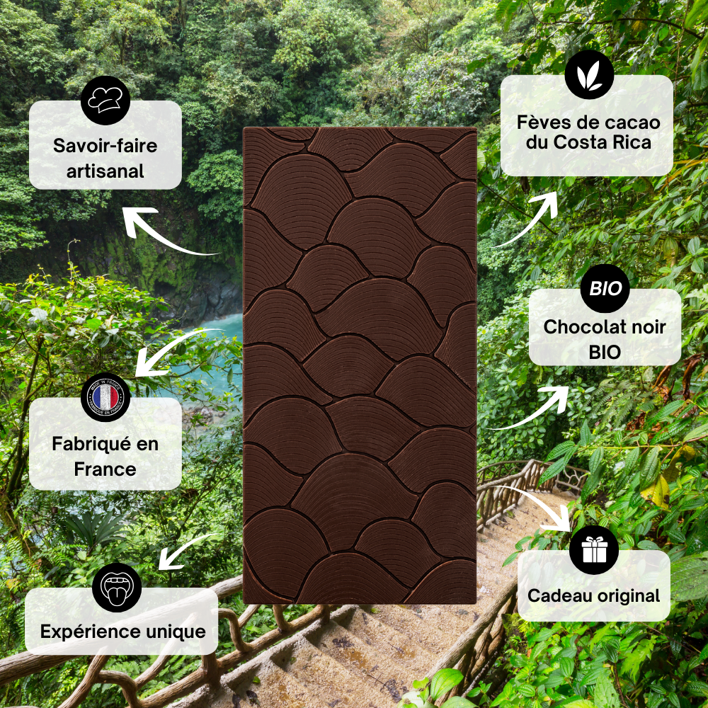 Costa Rica 75% - Forêt du Talamanca, Canton de Limon