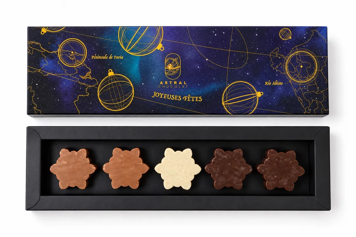 Coffret Astral de cinq flocons de chocolat au lait, noir et blanc