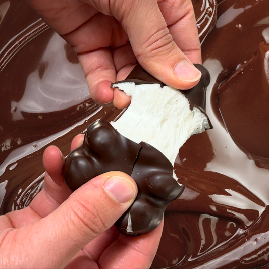 Coffret de 6 Oursons Guimauves Vanille (Lait/Noir/Mixte)